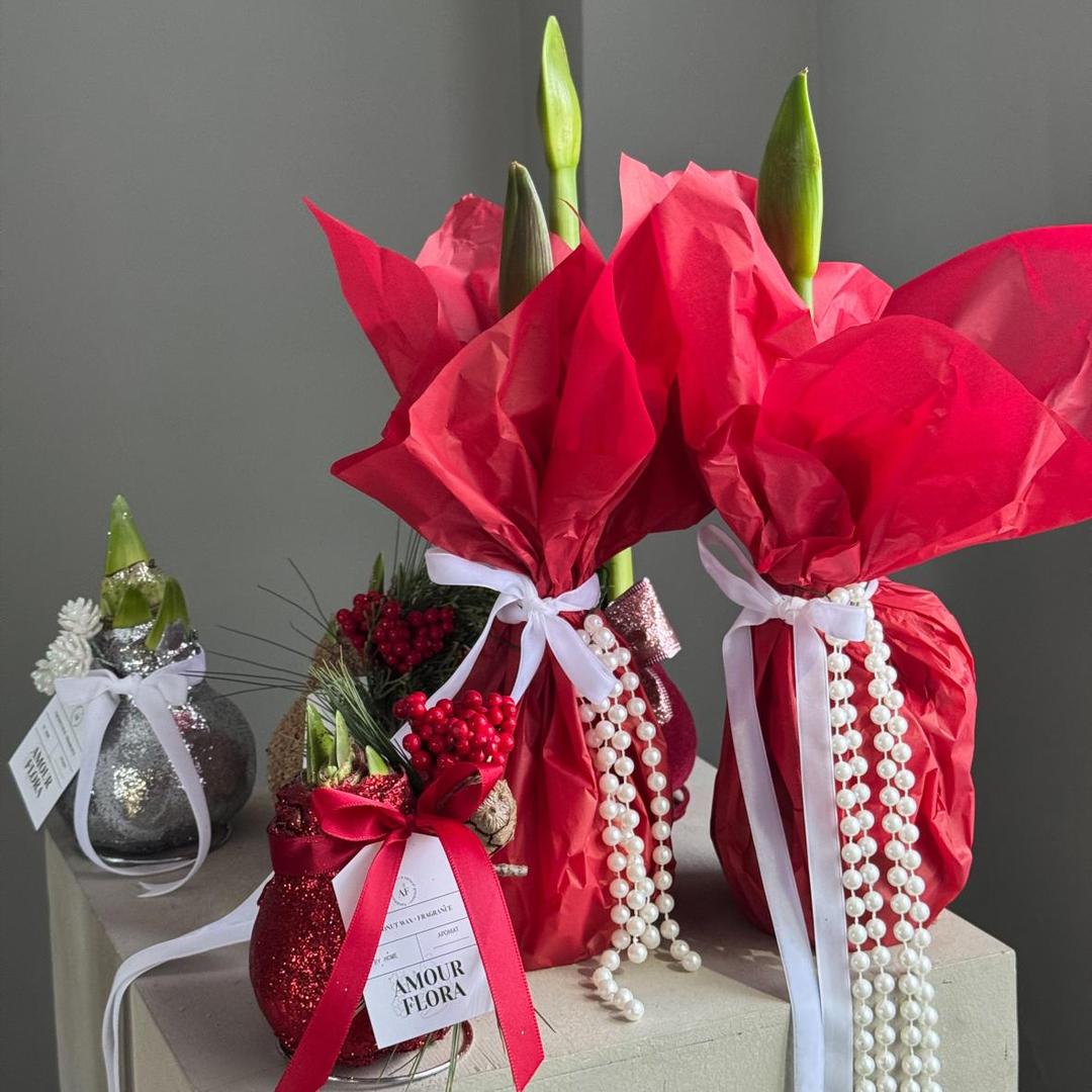 Амариллис в воске