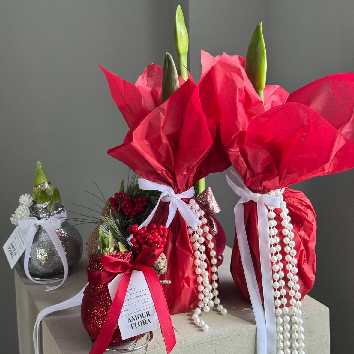 Амариллис в воске