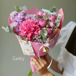 Cantry