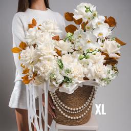 XL