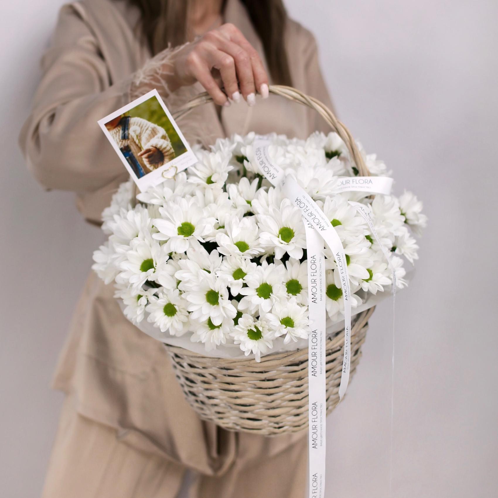 Ромашковый бум