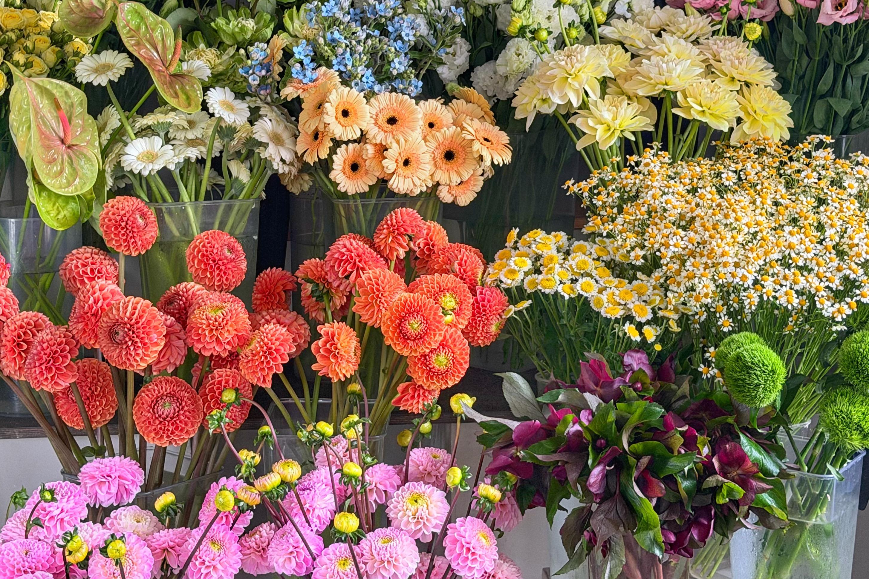 Доставка цветов во Владимире — заказать букет | Amour Flora Доставка цветов во Владимире — заказать букет | Amour Flora