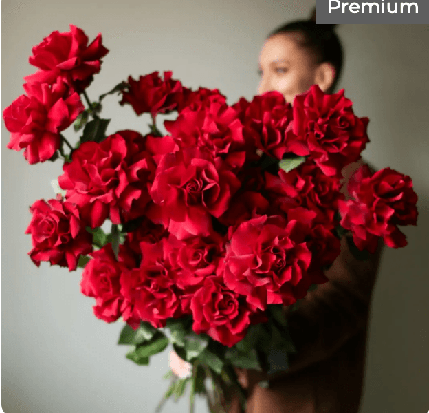 Роза Explorer(9шт)