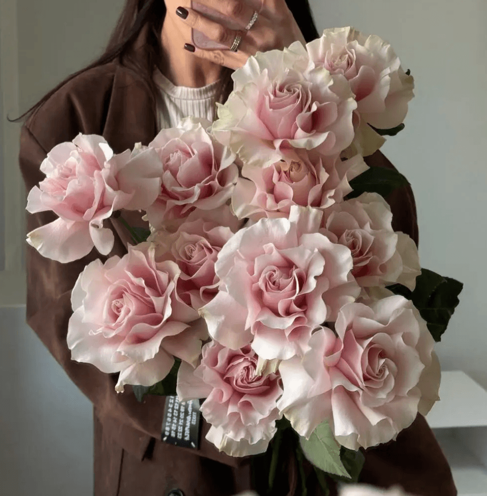 Розы Pink Mondiale(5шт)