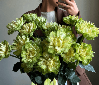 Розы Veggie(15шт)